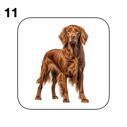 Coasters - 13x different images of Irish Red Setter dog breed