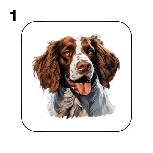 Coasters - 8x different images of Irish Red & White Setter dog breed