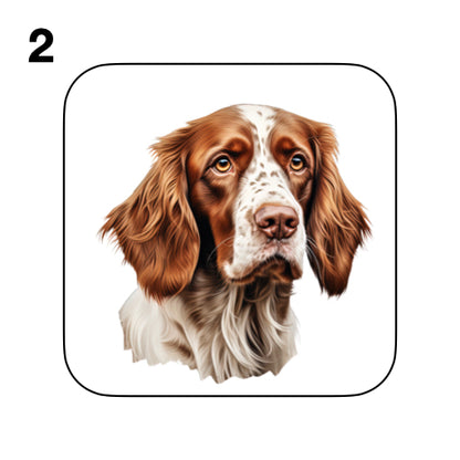 Coasters - 8x different images of Irish Red & White Setter dog breed