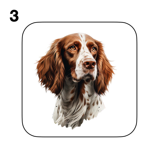 Coasters - 8x different images of Irish Red & White Setter dog breed