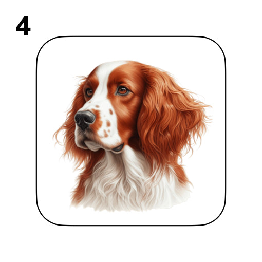 Coasters - 8x different images of Irish Red & White Setter dog breed