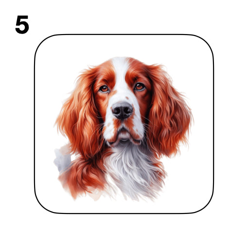 Coasters - 8x different images of Irish Red & White Setter dog breed