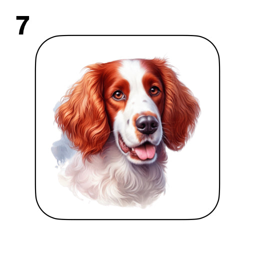 Coasters - 8x different images of Irish Red & White Setter dog breed