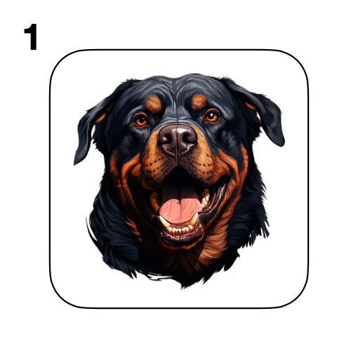 Coasters - 48x different images of Rottweiler dog breed