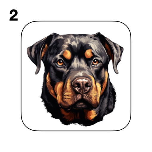Coasters - 48x different images of Rottweiler dog breed
