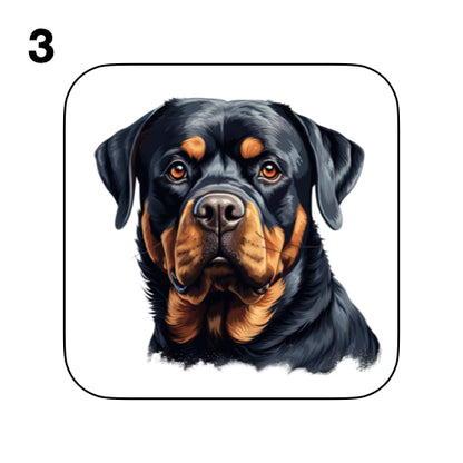 Coasters - 48x different images of Rottweiler dog breed