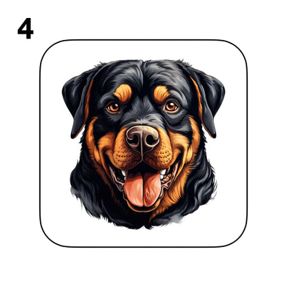 Coasters - 48x different images of Rottweiler dog breed
