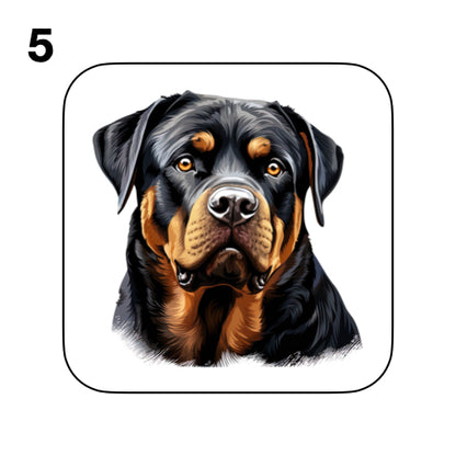 Coasters - 48x different images of Rottweiler dog breed