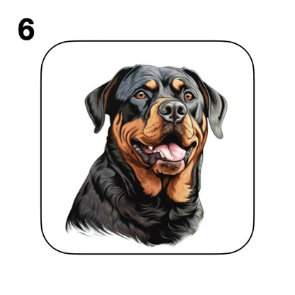 Coasters - 48x different images of Rottweiler dog breed