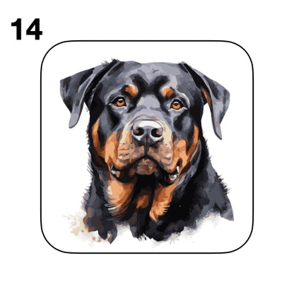 Coasters - 48x different images of Rottweiler dog breed