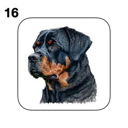 Coasters - 48x different images of Rottweiler dog breed