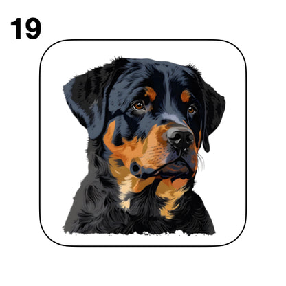 Coasters - 48x different images of Rottweiler dog breed
