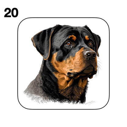 Coasters - 48x different images of Rottweiler dog breed
