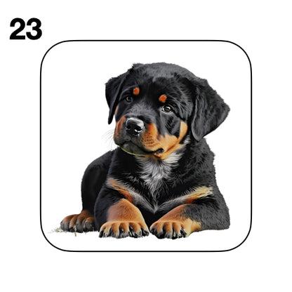 Coasters - 48x different images of Rottweiler dog breed
