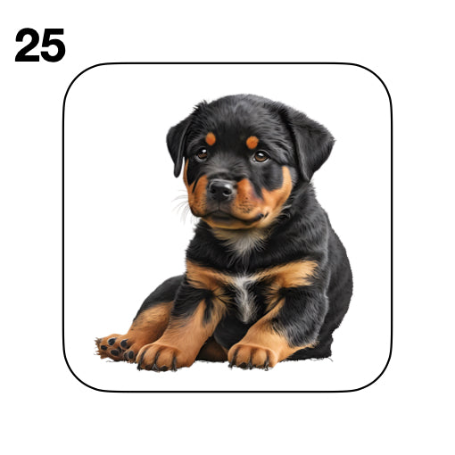 Coasters - 48x different images of Rottweiler dog breed