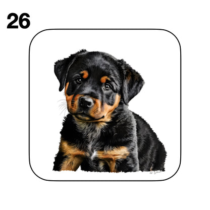 Coasters - 48x different images of Rottweiler dog breed