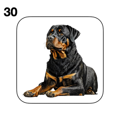 Coasters - 48x different images of Rottweiler dog breed