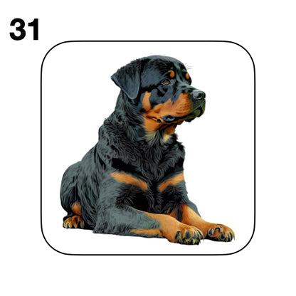 Coasters - 48x different images of Rottweiler dog breed