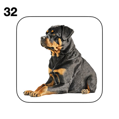 Coasters - 48x different images of Rottweiler dog breed