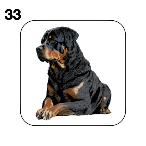Coasters - 48x different images of Rottweiler dog breed