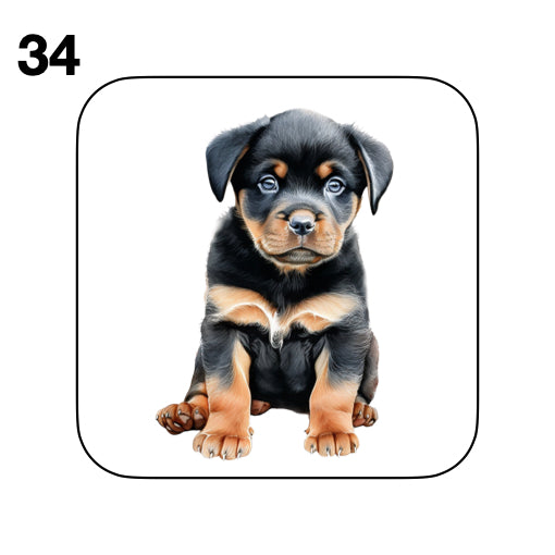 Coasters - 48x different images of Rottweiler dog breed