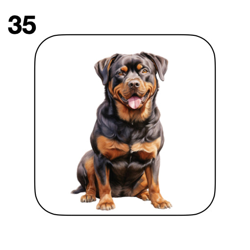 Coasters - 48x different images of Rottweiler dog breed