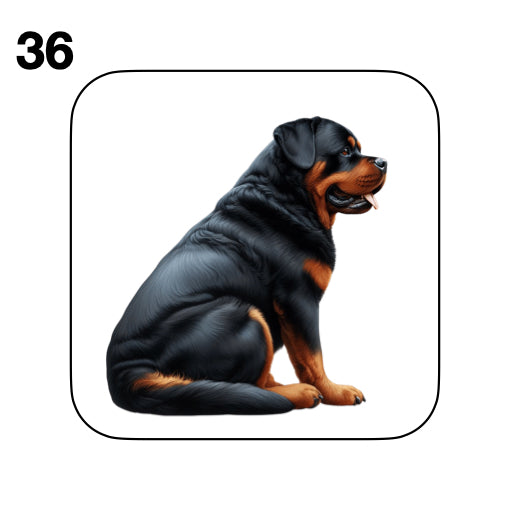 Coasters - 48x different images of Rottweiler dog breed