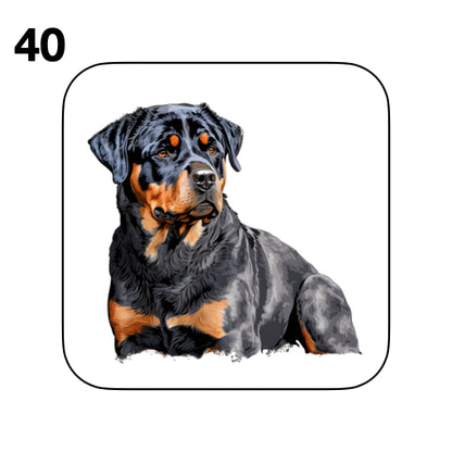 Coasters - 48x different images of Rottweiler dog breed