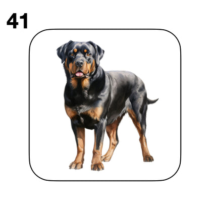 Coasters - 48x different images of Rottweiler dog breed