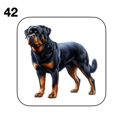 Coasters - 48x different images of Rottweiler dog breed