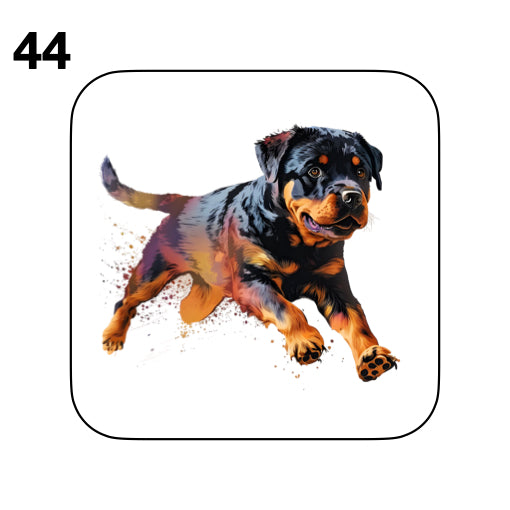 Coasters - 48x different images of Rottweiler dog breed