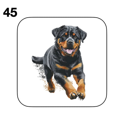Coasters - 48x different images of Rottweiler dog breed