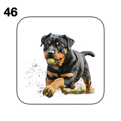 Coasters - 48x different images of Rottweiler dog breed