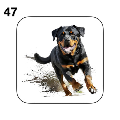Coasters - 48x different images of Rottweiler dog breed