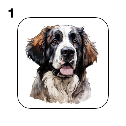 Coasters - 20x different images of St Bernard dog breed