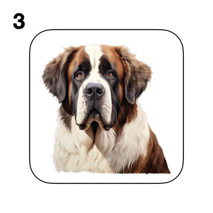 Coasters - 20x different images of St Bernard dog breed
