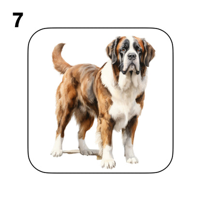Coasters - 20x different images of St Bernard dog breed