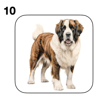 Coasters - 20x different images of St Bernard dog breed