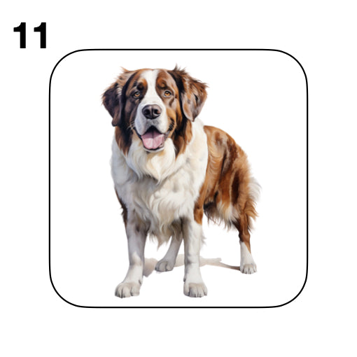Coasters - 20x different images of St Bernard dog breed