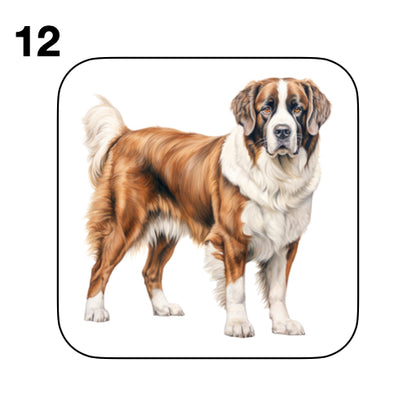 Coasters - 20x different images of St Bernard dog breed