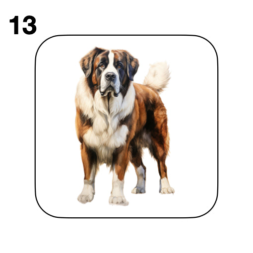 Coasters - 20x different images of St Bernard dog breed