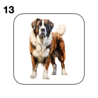 Coasters - 20x different images of St Bernard dog breed