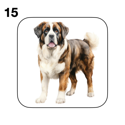 Coasters - 20x different images of St Bernard dog breed
