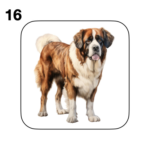 Coasters - 20x different images of St Bernard dog breed