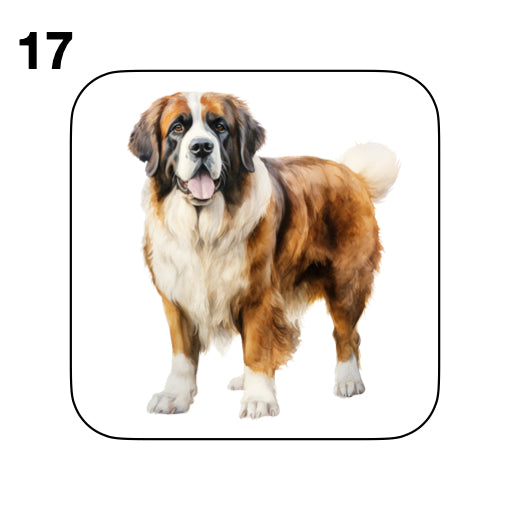 Coasters - 20x different images of St Bernard dog breed