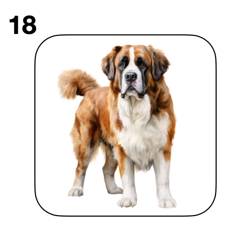 Coasters - 20x different images of St Bernard dog breed