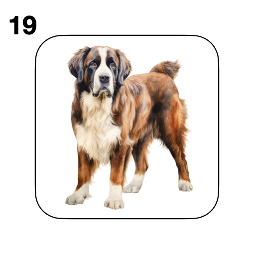 Coasters - 20x different images of St Bernard dog breed