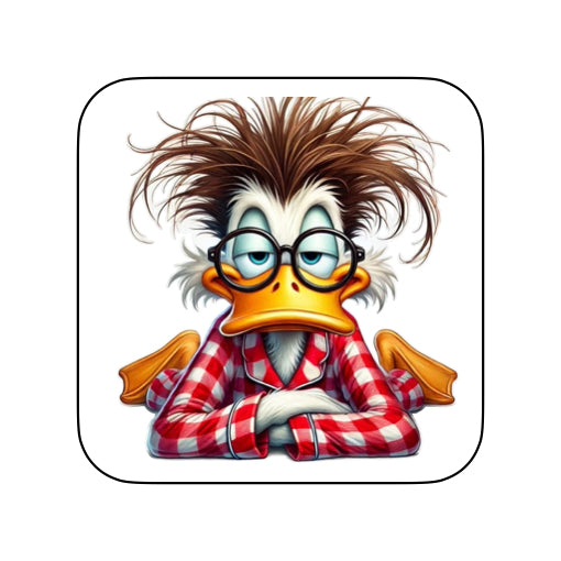 Coasters of Ducks in PJ's