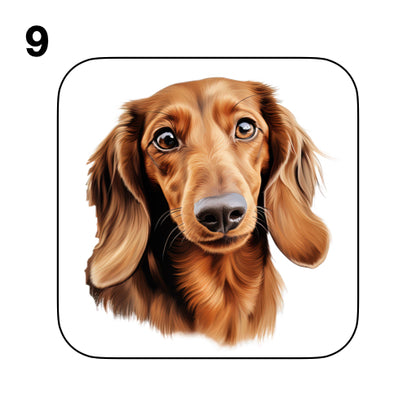 Coasters - 53x different images of Dachshund dog breed