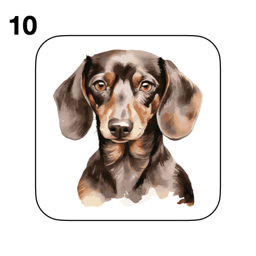 Coasters - 53x different images of Dachshund dog breed